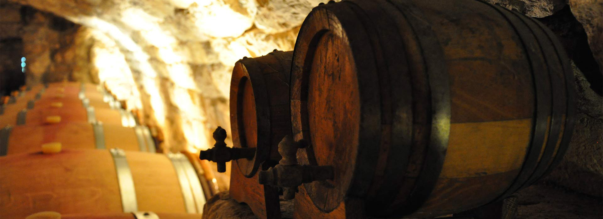 Walking and cultural Balkans discovery trip - Tvrdos winery