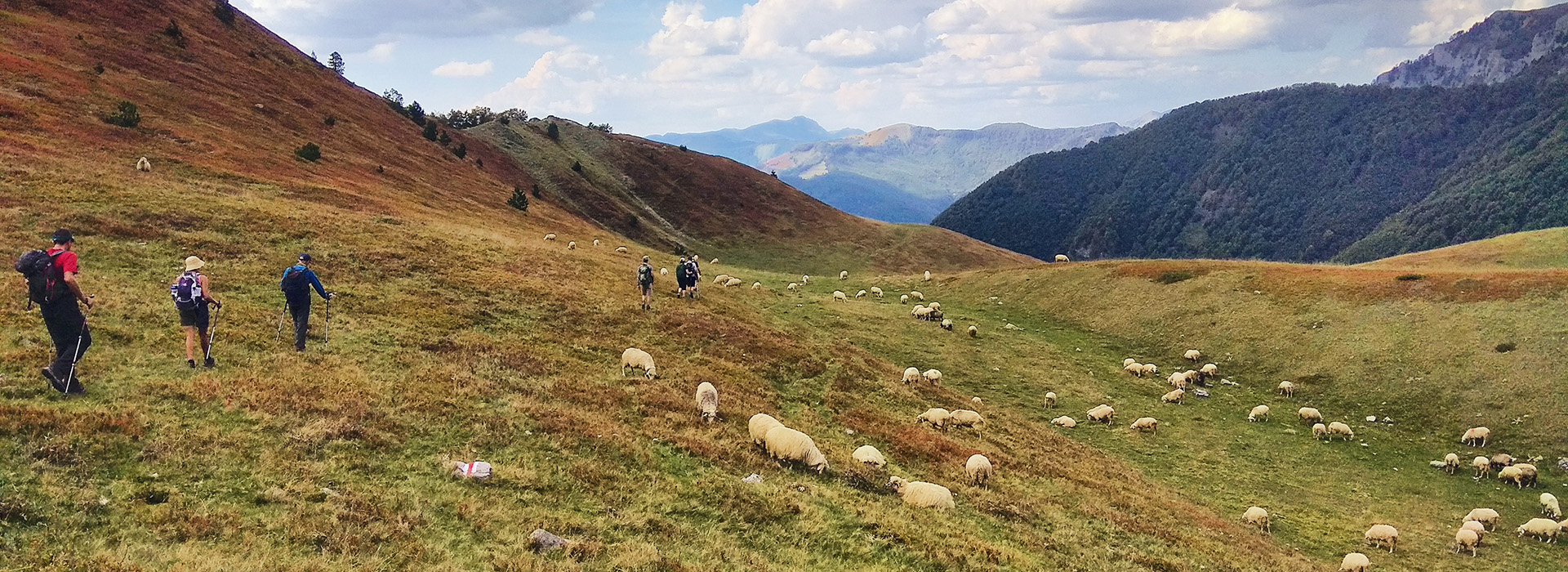 The Peaks of the Balkans walking guided holiday - Descent to Lepushe from Talijanka