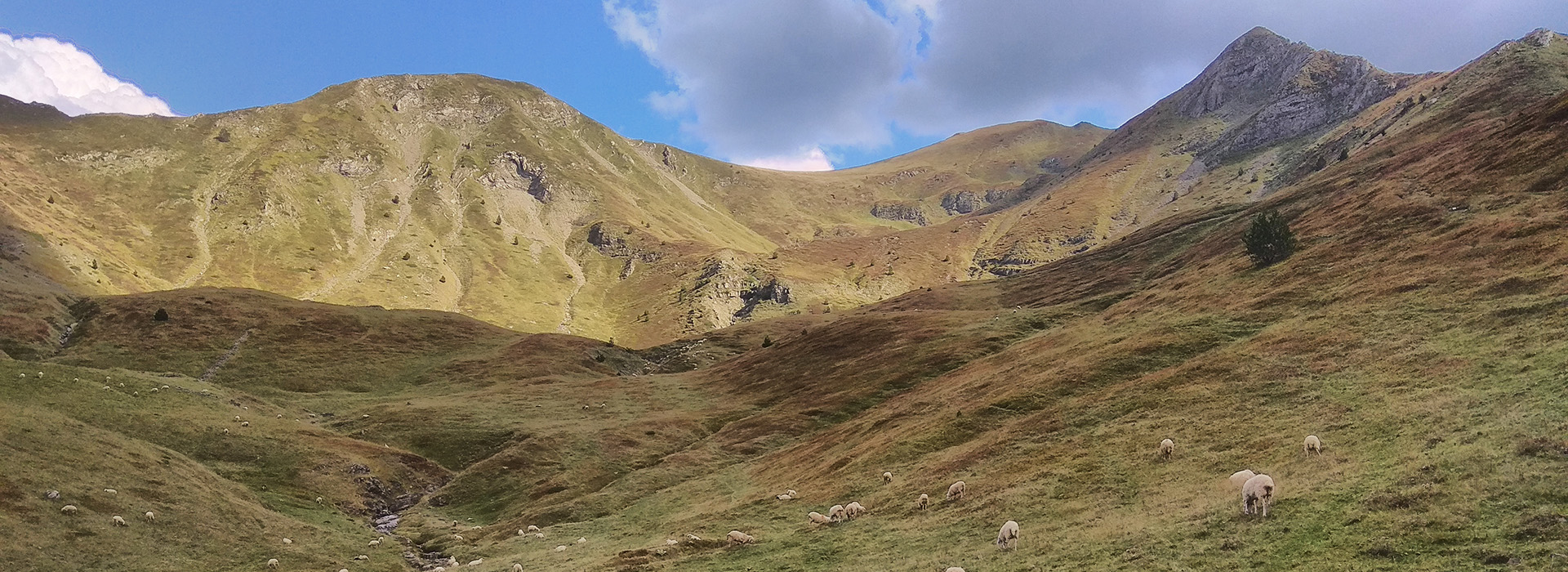 The Peaks of the Balkans walking guided holiday - Descent to Lepushe from Talijanka