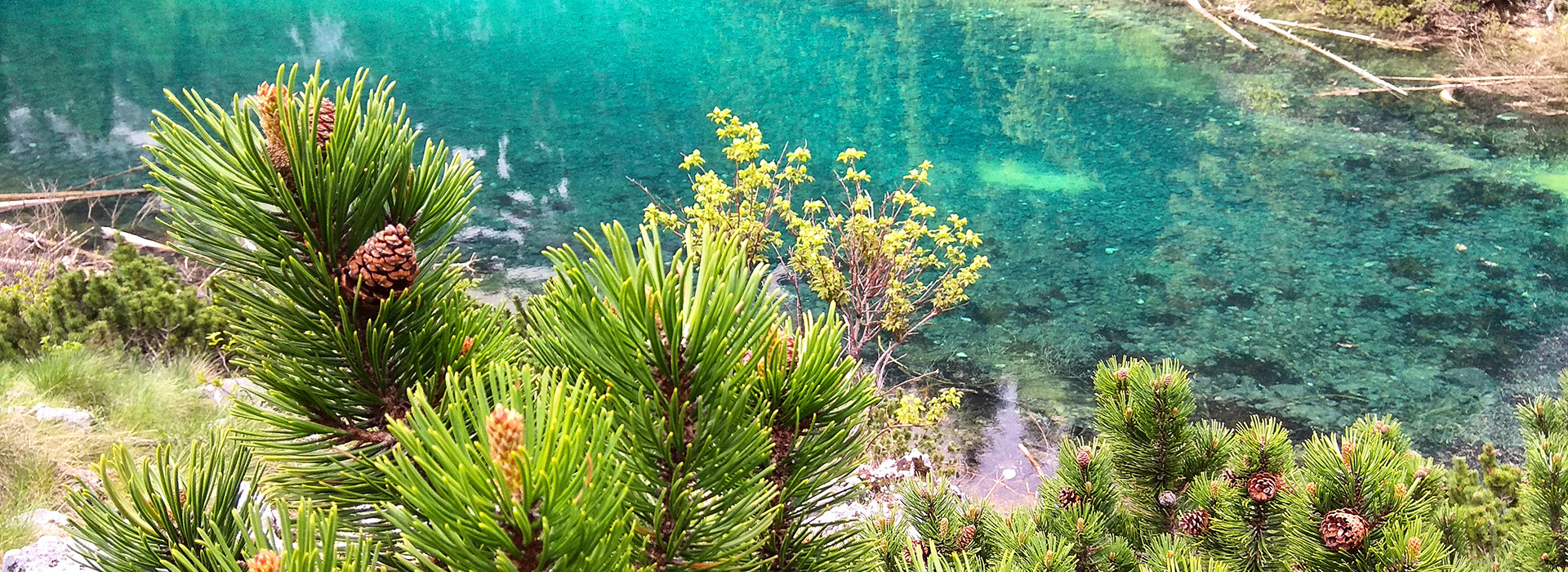 The Peaks of the Balkans walking guided holiday - Dreljsko lake