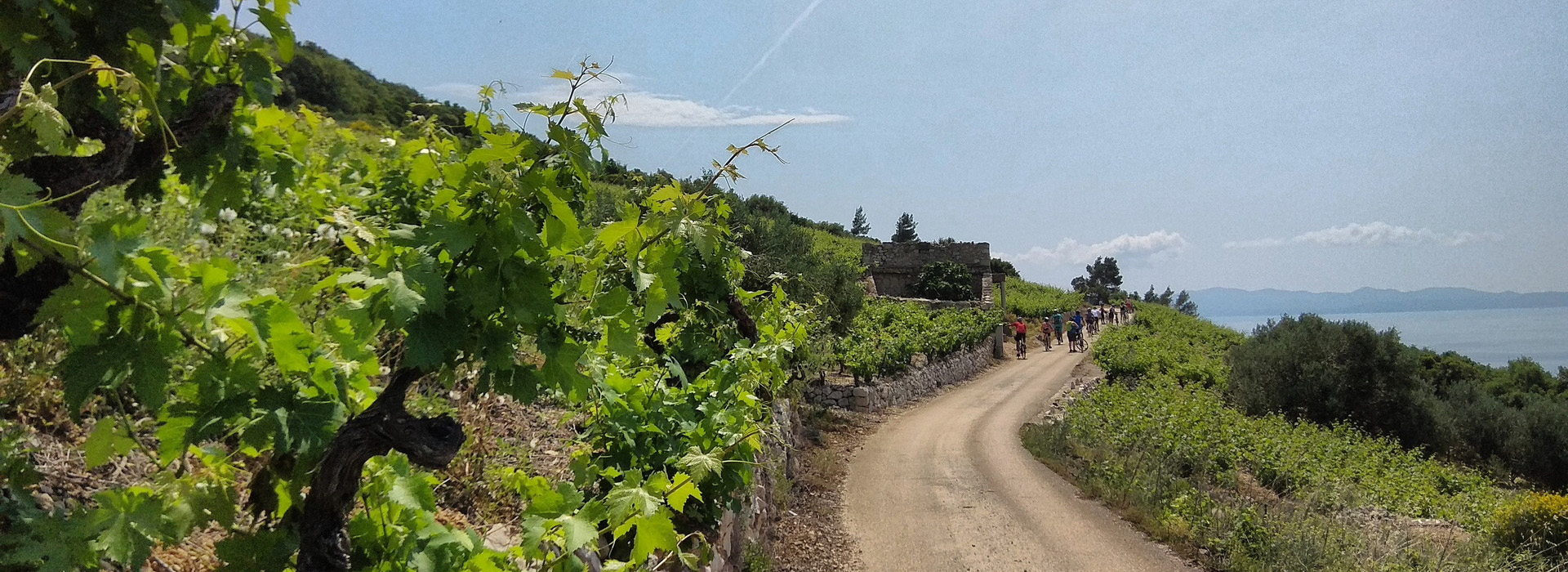 Cycling on the Dalmatian Coast guided holiday - Otok Korčula