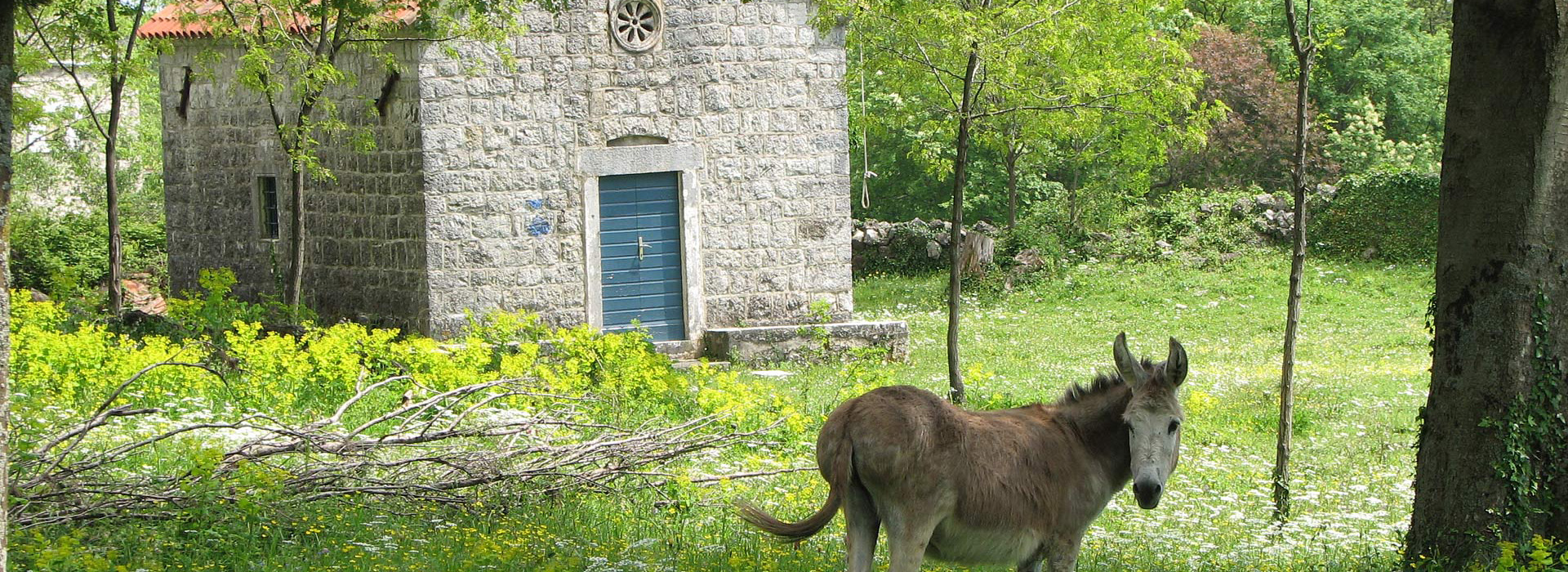 Montenegro walking guided holiday